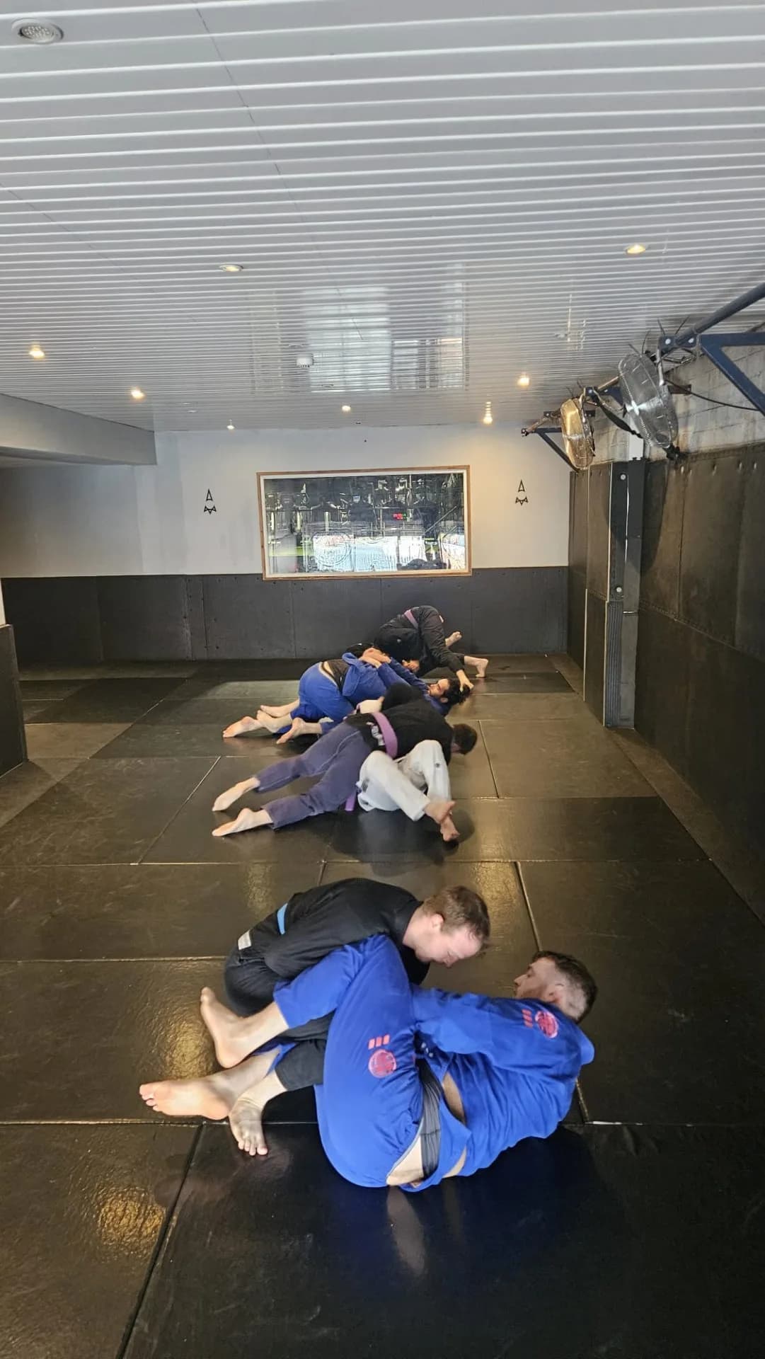 Saturday Gi Positionals & Drilling